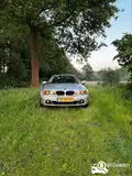 Foto van kenteken 41-PV-VZ