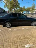 Foto van kenteken 43-ZN-ZL