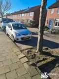 Foto van kenteken 59-ZG-GN
