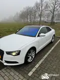 Foto van kenteken 77-SPL-8
