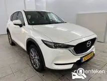 Foto van kenteken G-011-BX