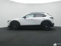 Foto van kenteken GLV-04-Z