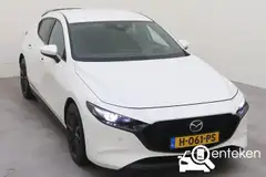 Foto van kenteken H-061-PS