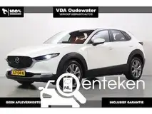 Foto van kenteken JLP-04-N