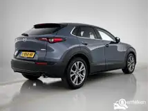 Foto van kenteken L-050-BF