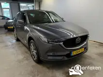 Foto van kenteken L-084-DS