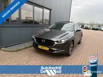 Foto van kenteken L-890-LS