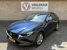 Foto van kenteken L-995-BJ