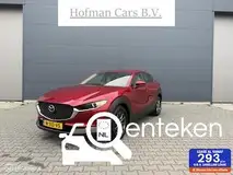 Foto van kenteken N-313-VS