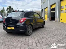 Foto van kenteken NZ-303-P