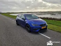 Foto van kenteken P-717-TF Foto van kenteken P-717-TF