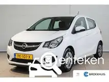 Foto van kenteken PK-101-X