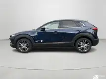 Foto van kenteken T-977-ZL