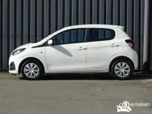 Foto van kenteken TF-306-Z