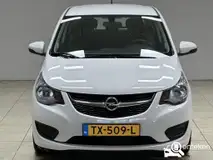 Foto van kenteken TX-509-L