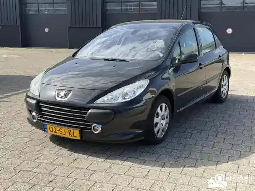 Peugeot 307 110 2006