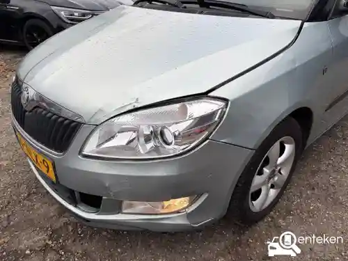 Skoda Fabia 1.2 TDI GreenLine 2010