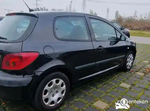 Peugeot 307 110 2004
