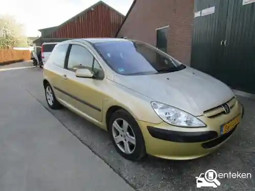 Peugeot 307 135 2002