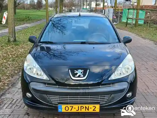 Peugeot 206 75 2009