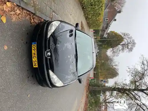 Peugeot 206 75 2001