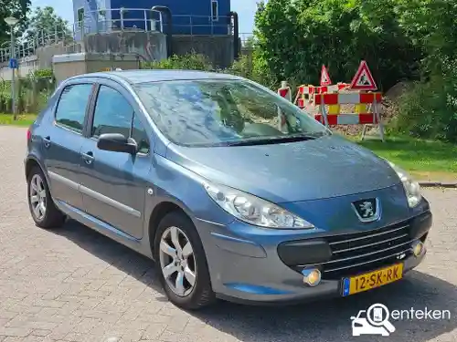 Peugeot 307 110 2006