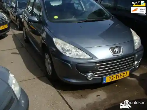 Peugeot 307 110 2006