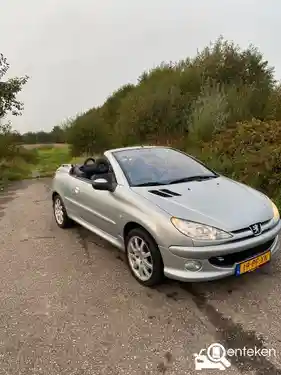 Peugeot 206 CC 110 2004