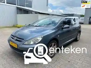 Peugeot 307 CC 135 2004