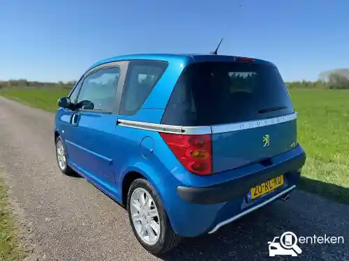 Peugeot 1007 1.6 110 2005