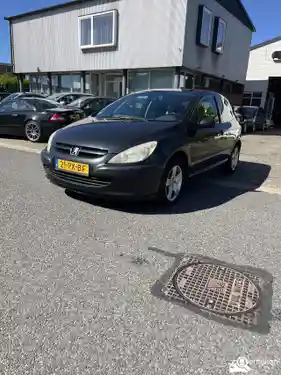 Peugeot 307 110 2005