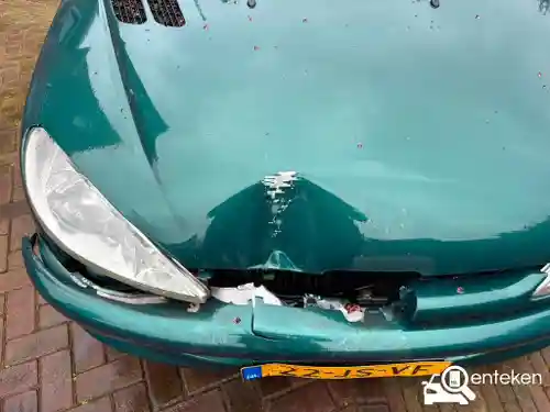 Peugeot 206 CC 110 2002