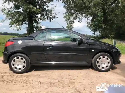 Peugeot 206 CC 110 2004