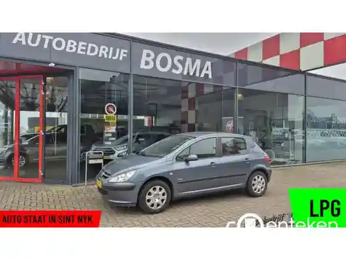 Peugeot 307 110 2004