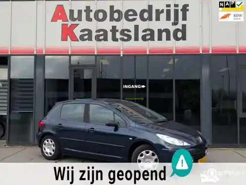 Peugeot 307 110 2006