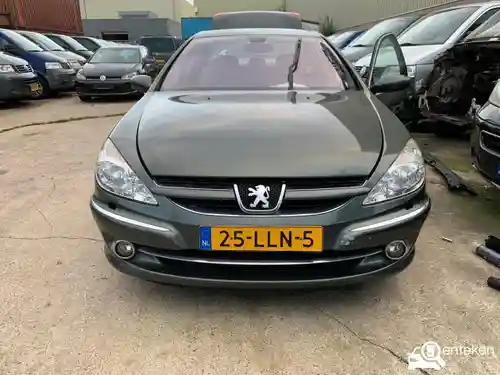 Peugeot 607 V6 HDi 205 Bi-Turbo 2008