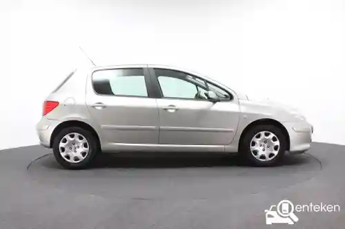 Peugeot 307 110 2006