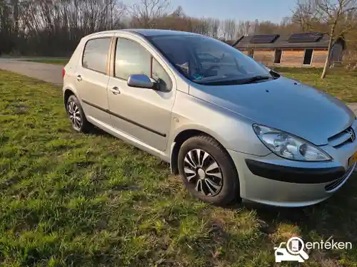 Peugeot 307 110 2004