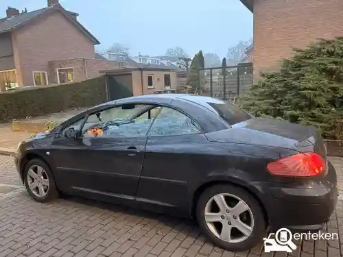 Peugeot 307 CC 110 2004