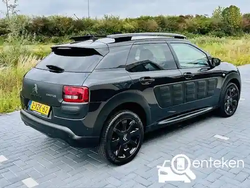 Citroen C4 Cactus PureTech 110 2014