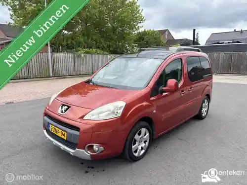 Peugeot Partner Tepee 110 2009