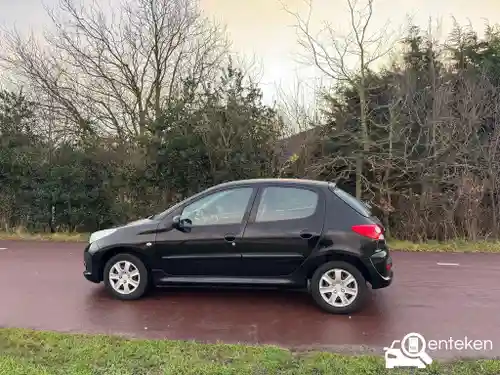 Peugeot 206 75 2009