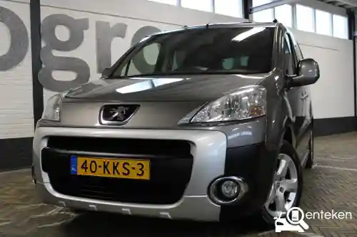 Peugeot Partner Tepee 110 2009