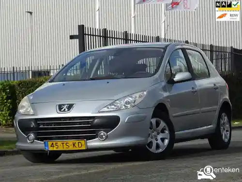 Peugeot 307 110 2007