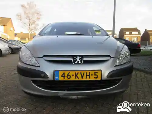 Peugeot 307 135 2001