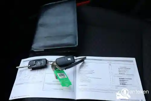 Skoda Fabia 1.2 TSI 2013