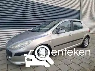 Peugeot 307 110 2006