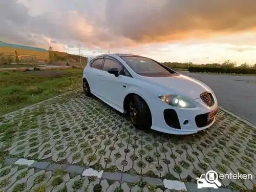 SEAT Leon Cupra 2010