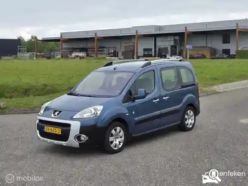 Peugeot Partner Tepee 110 2009