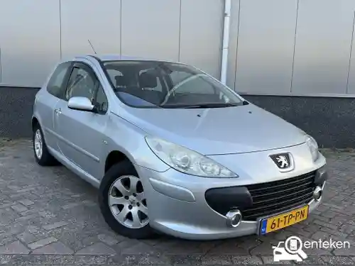 Peugeot 307 110 2007